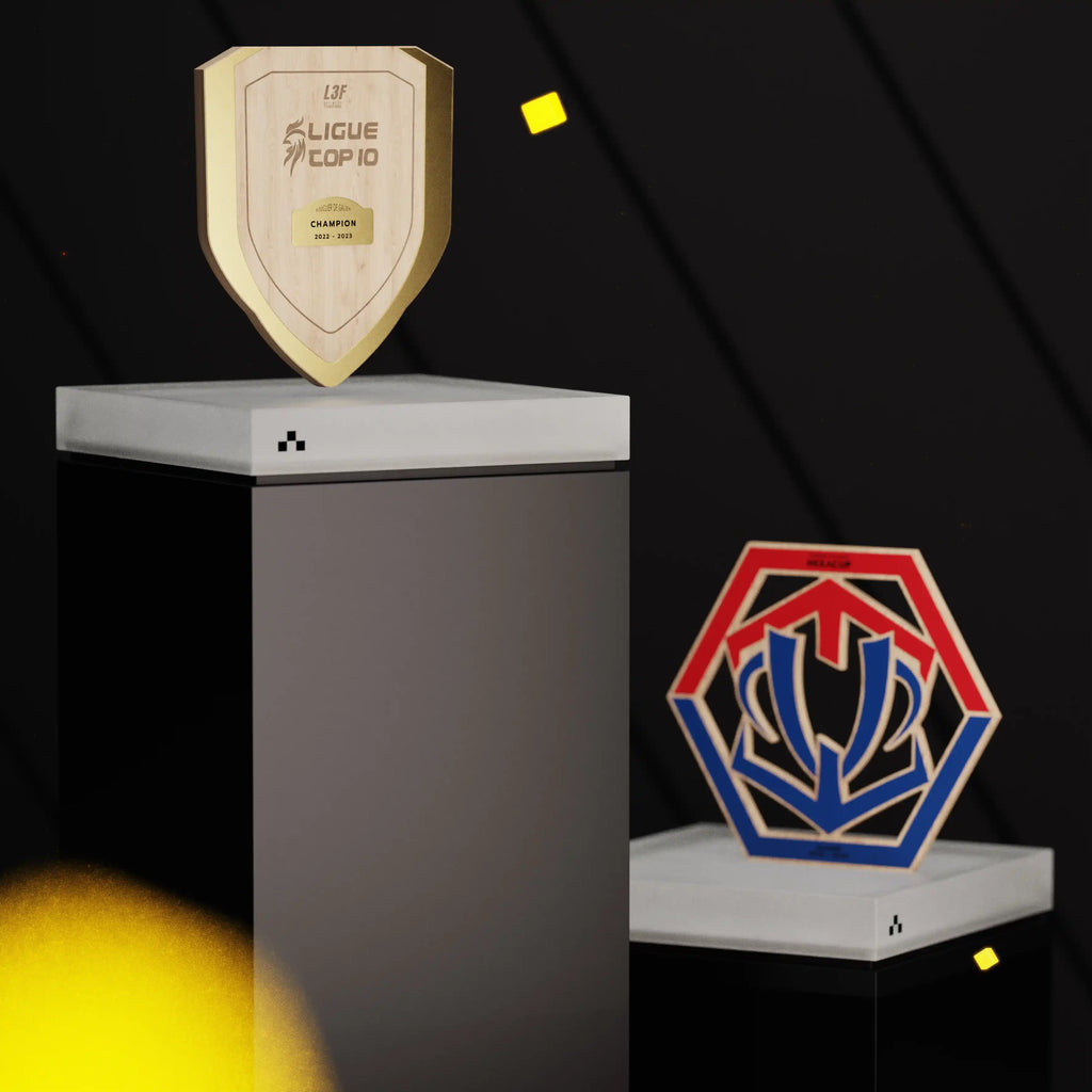 trophée bouclier en bois 