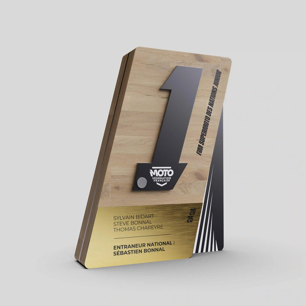 trophée bois et métal noir