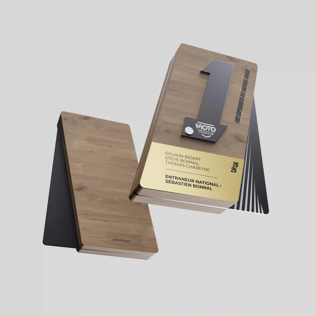 trophée bois et métal noir